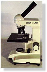 Microscope