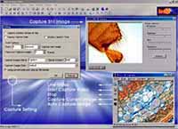 Software By Motic: MoticNet Networking Software Picture