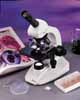 Leica BM-E Advanced Student Microscope Thumbnail