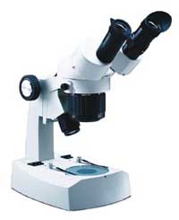 410TBL Series Stereo Microscope Picture