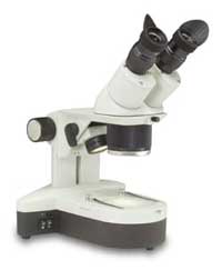 460TBL-10 Stereo Zoom Microscope Picture