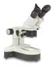 460TBL-10 Stereo Zoom Microscope Thumbnail