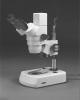 DC3-420TH Digital Stereo Microscope Thumbnail