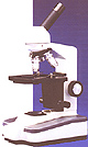 155 Series Student Microscopes Thumbnail